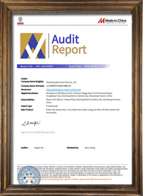 Made-in-China Audited Supplier Report